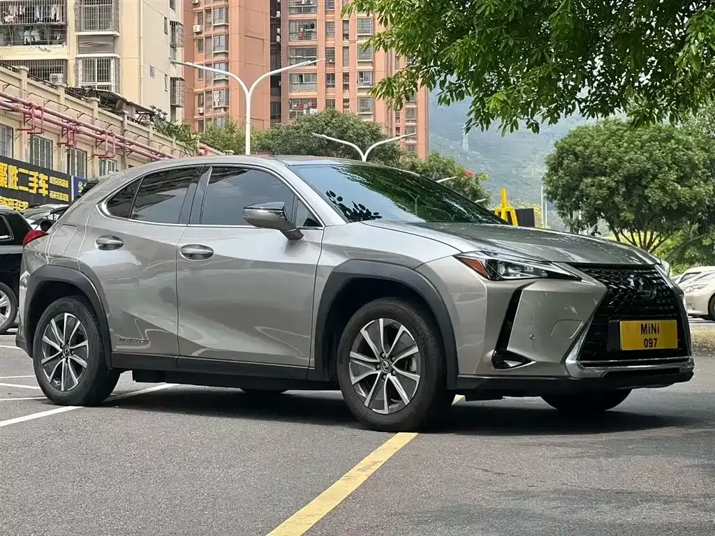 Lexus UX New Energy 2021 из CN, фото 9