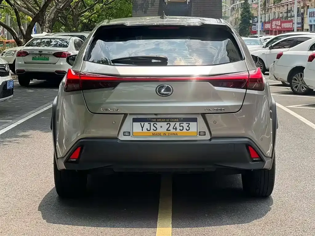 Lexus UX New Energy 2021 из CN, фото 3
