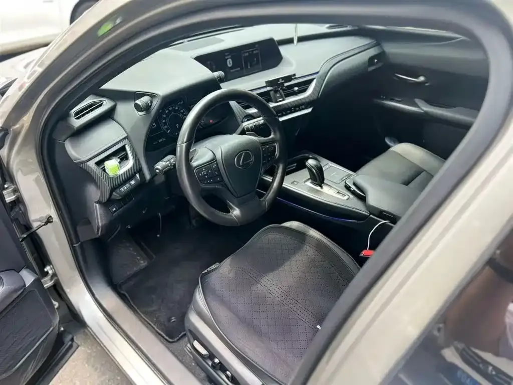 Lexus UX New Energy 2021 из CN, фото 6
