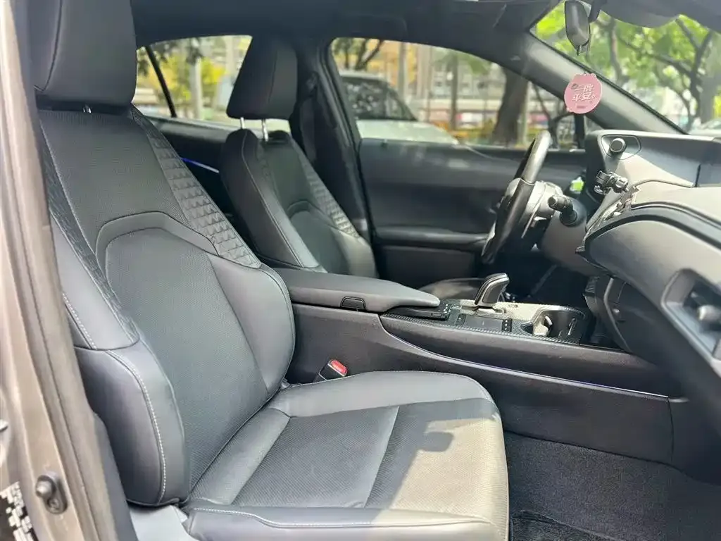 Lexus UX New Energy 2021 из CN, фото 5