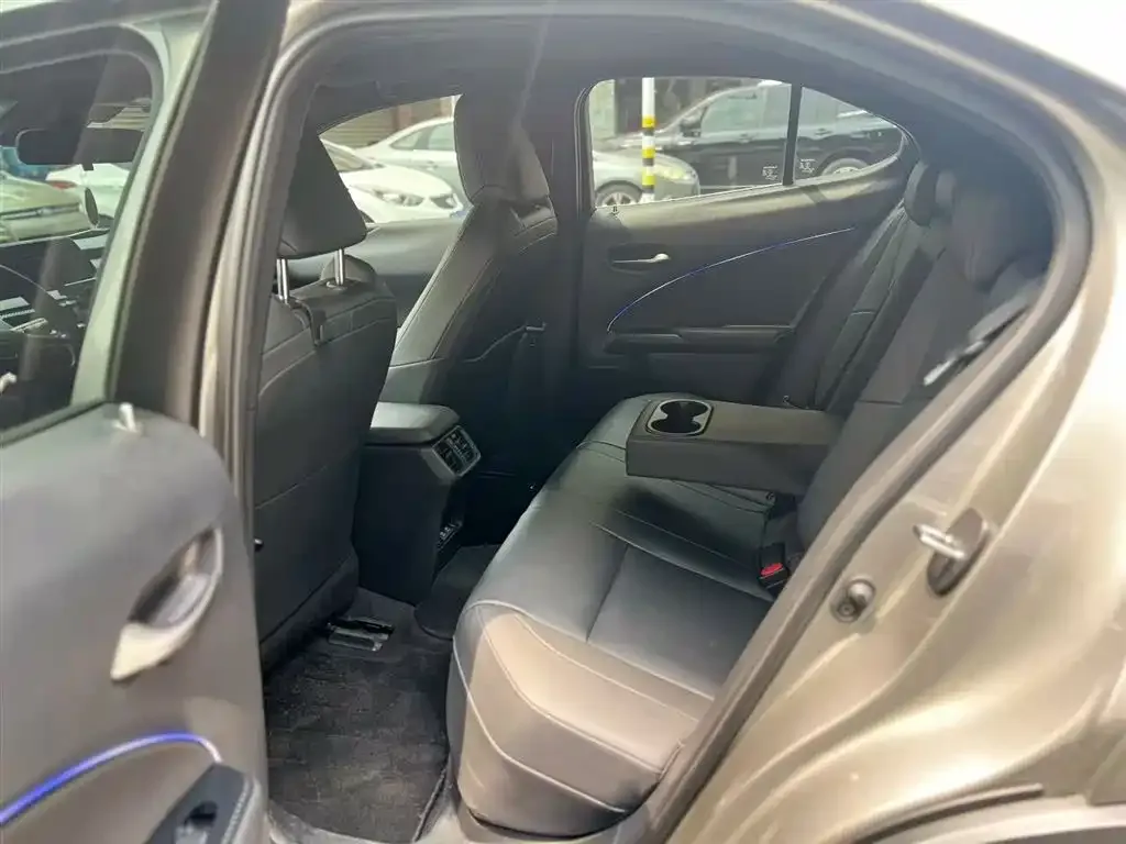 Lexus UX New Energy 2021 из CN, фото 2
