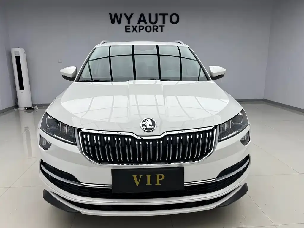 Skoda Karoq — фото 10