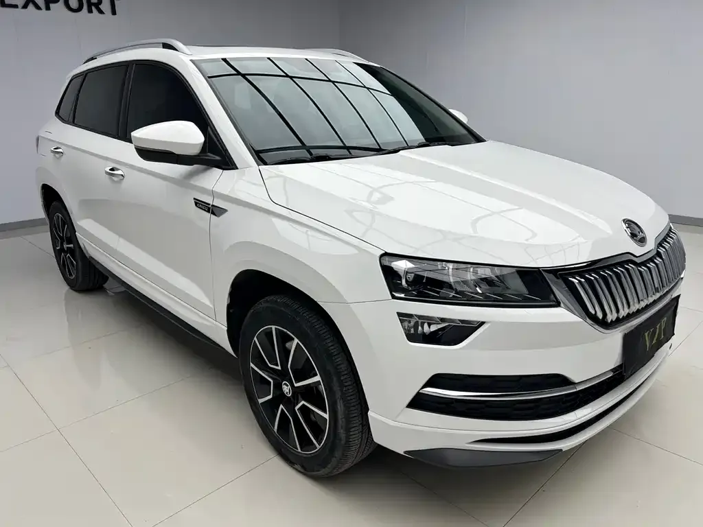 Skoda Karoq — фото 6