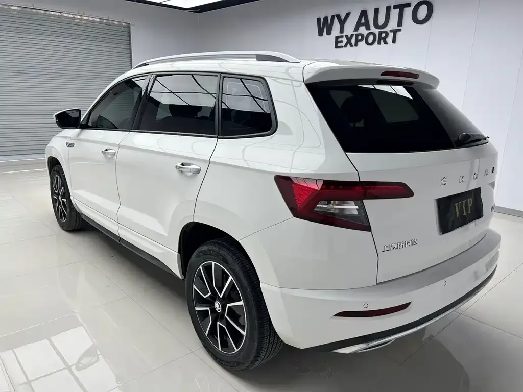 Skoda Karoq — фото 3