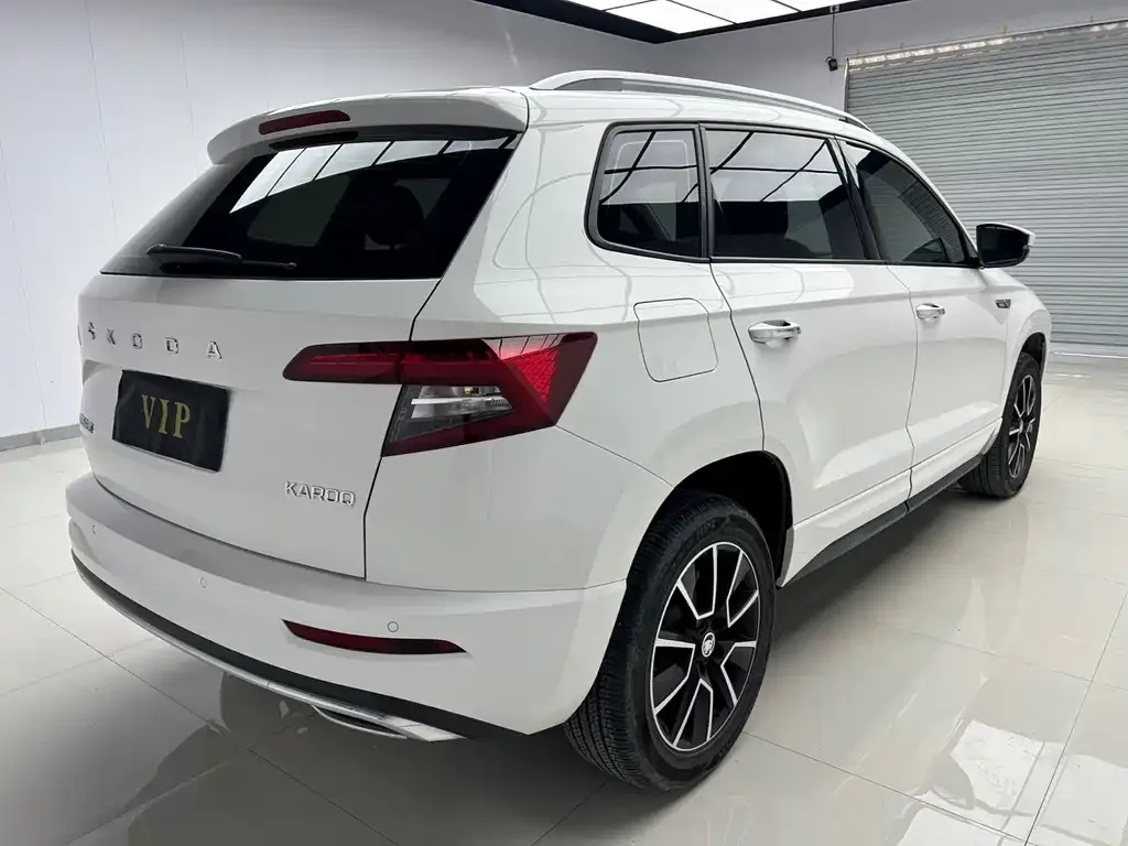 Skoda Karoq — фото 9