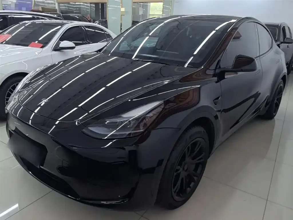 Tesla Model Y — фото 10