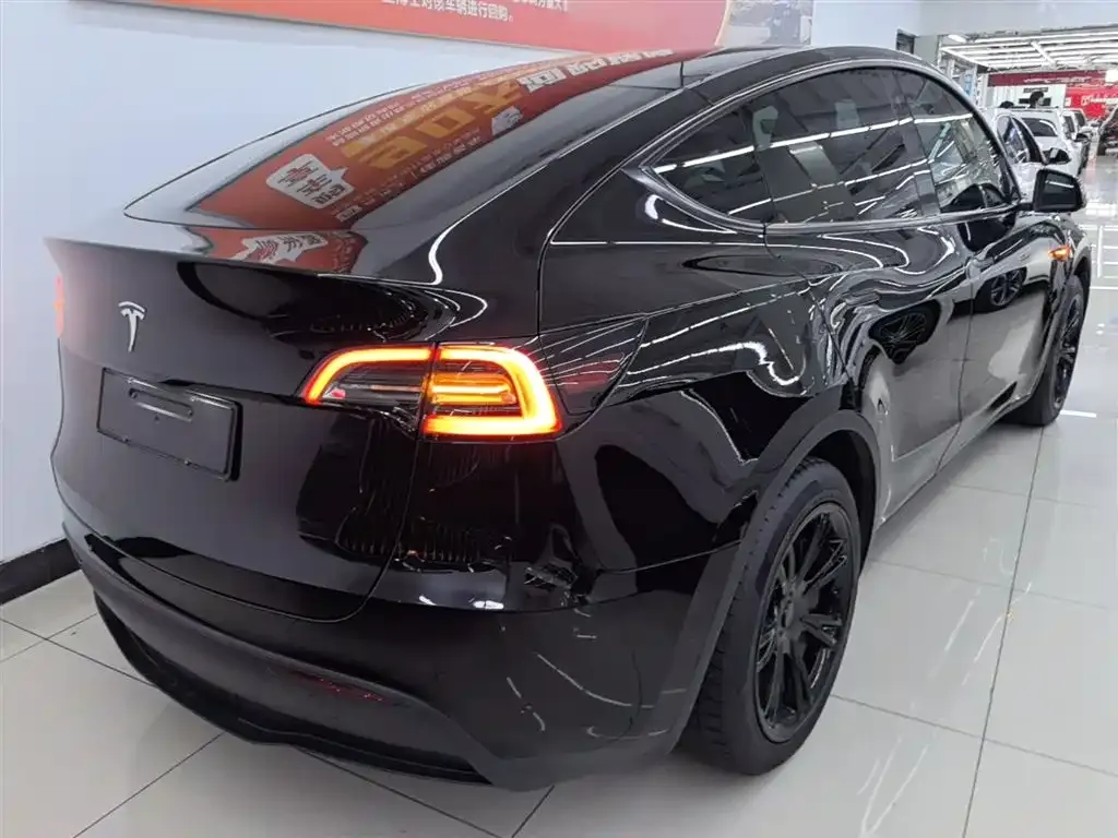 Tesla Model Y — фото 6