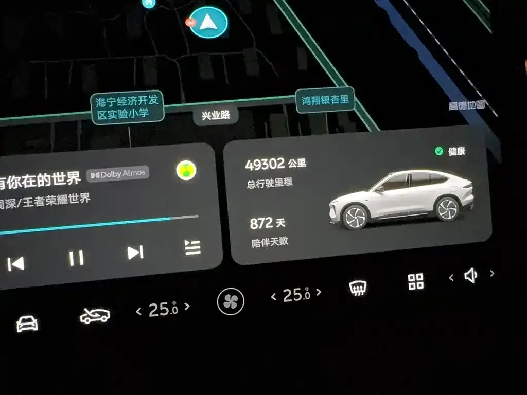 NIO EC6 2024 из CN, фото 4