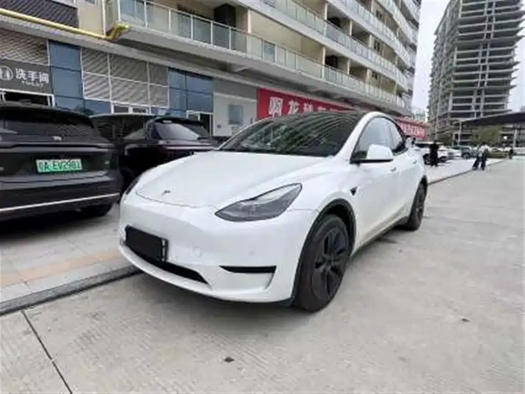 Tesla Model Y — фото 1