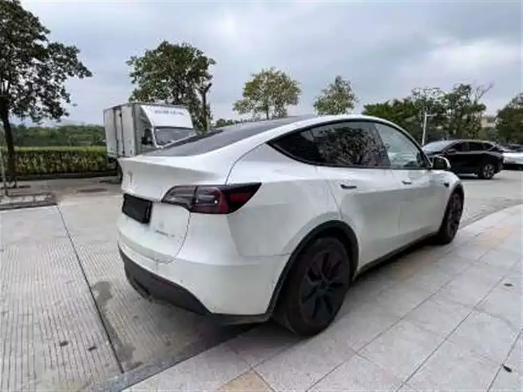 Tesla Model Y — фото 3
