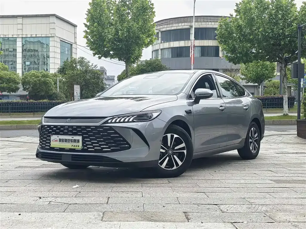 BYD Qin PLUS — фото 1