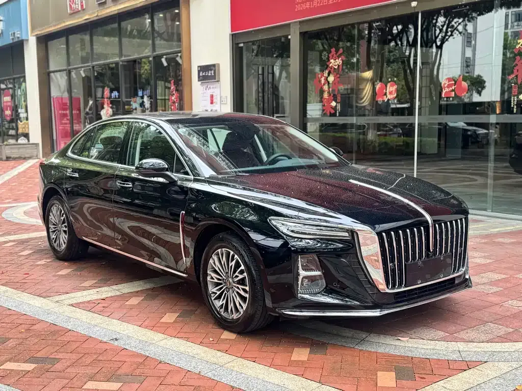 Hongqi H5 — фото 10