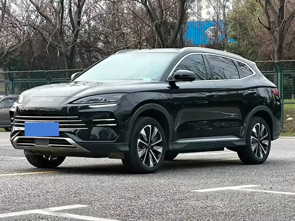 BYD PLUS New Energy — фото 1