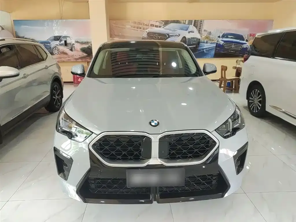 BMW X2 (Import) 2024 из CN, фото 4