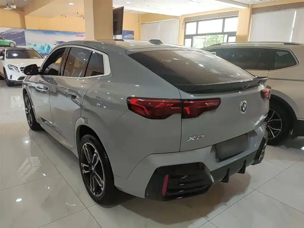 BMW X2 (Import) 2024 из CN, фото 3