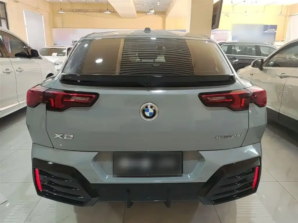 BMW X2 (Import) 2024 из CN, фото 7