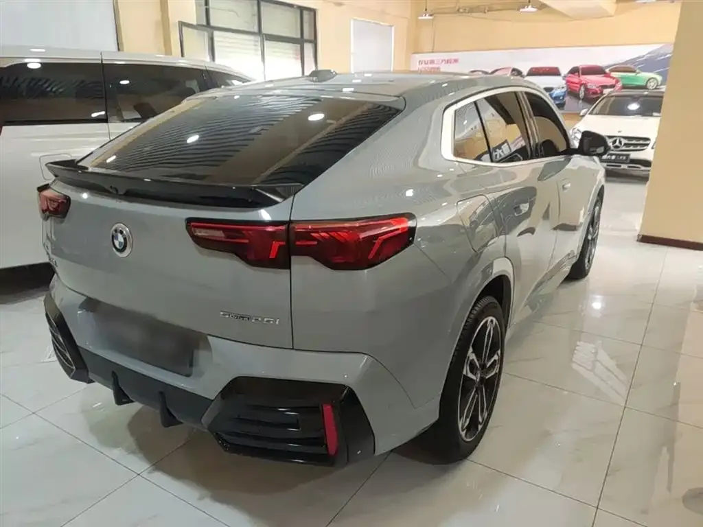 BMW X2 (Import) 2024 из CN, фото 8