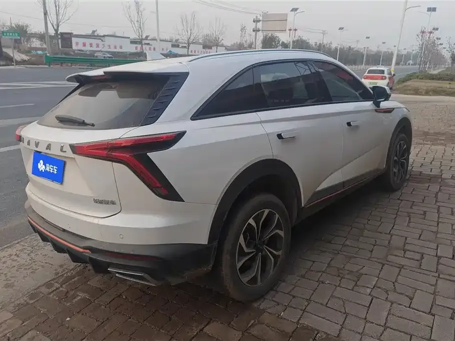 Haval Shenshou 2022 из CN, фото 6