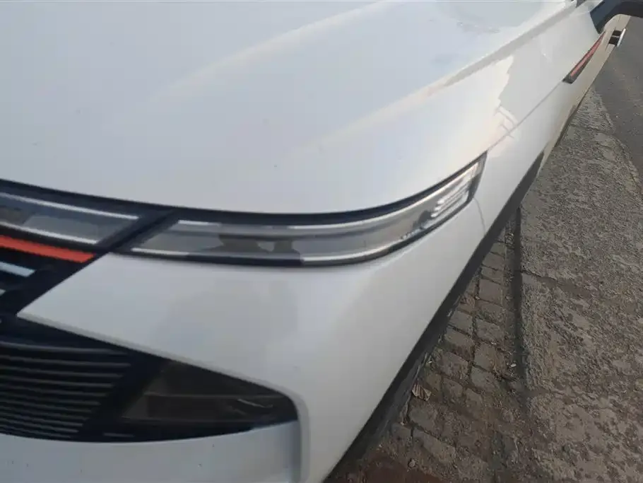 Haval Shenshou 2022 из CN, фото 4