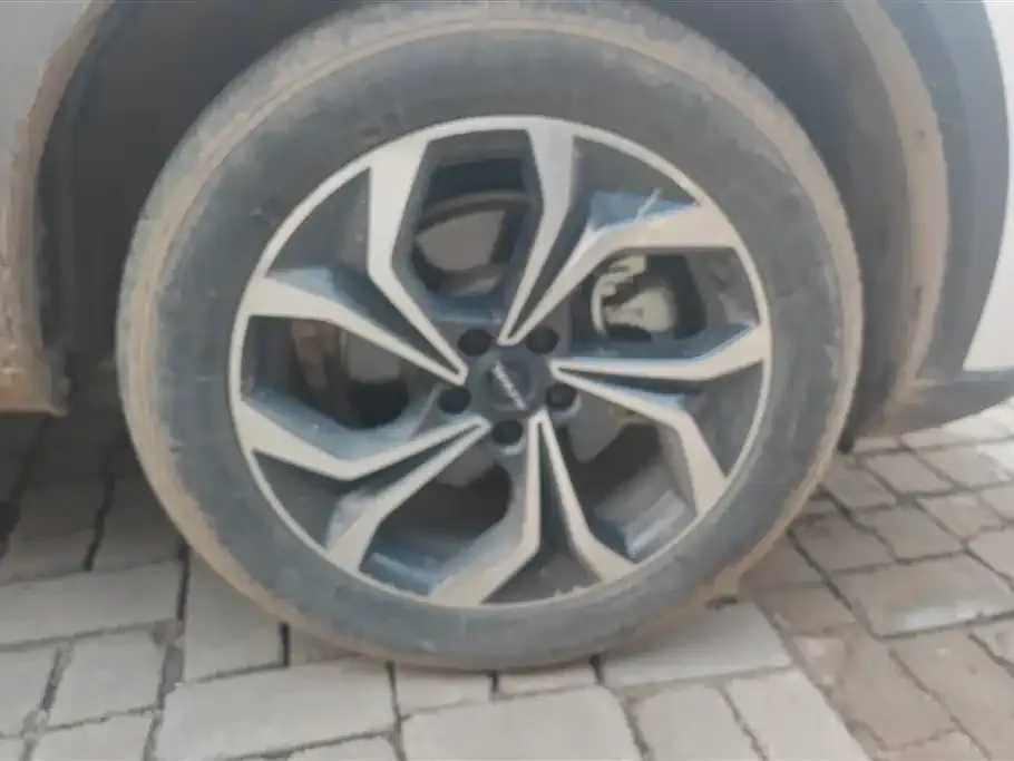 Haval Shenshou 2022 из CN, фото 2