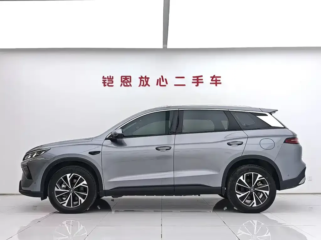 BYD Pro New Energy — фото 5