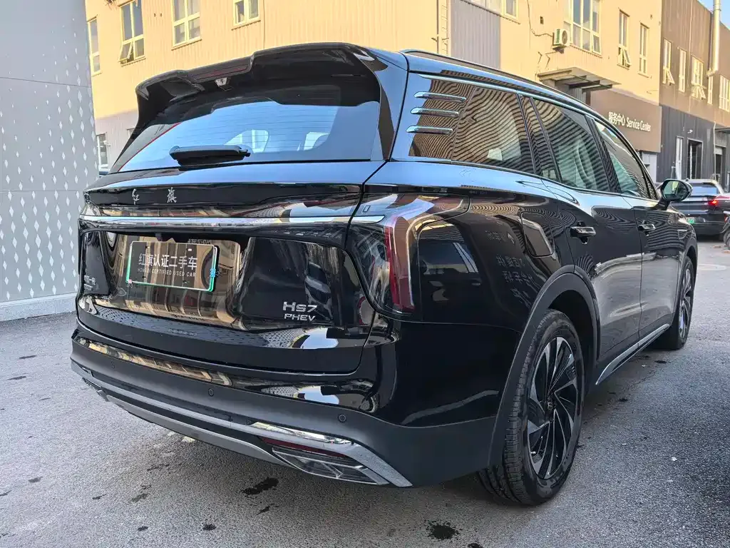 Hongqi HS7 PHEV 2024 из CN, фото 9