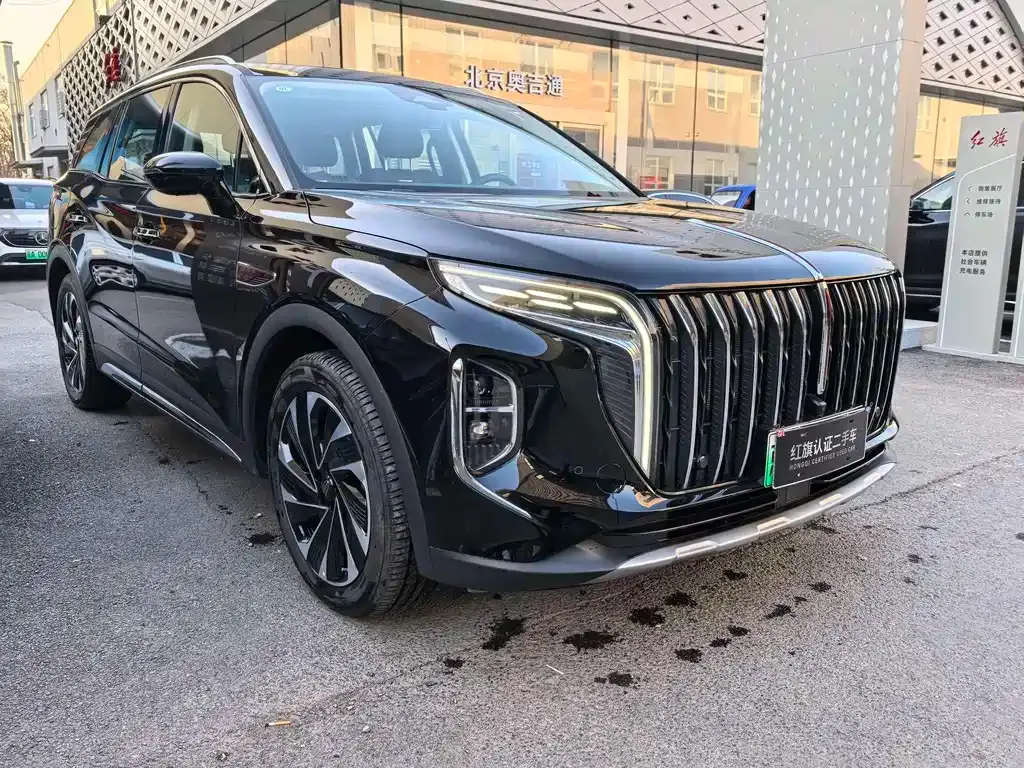 Hongqi HS7 PHEV 2024 из CN, фото 10
