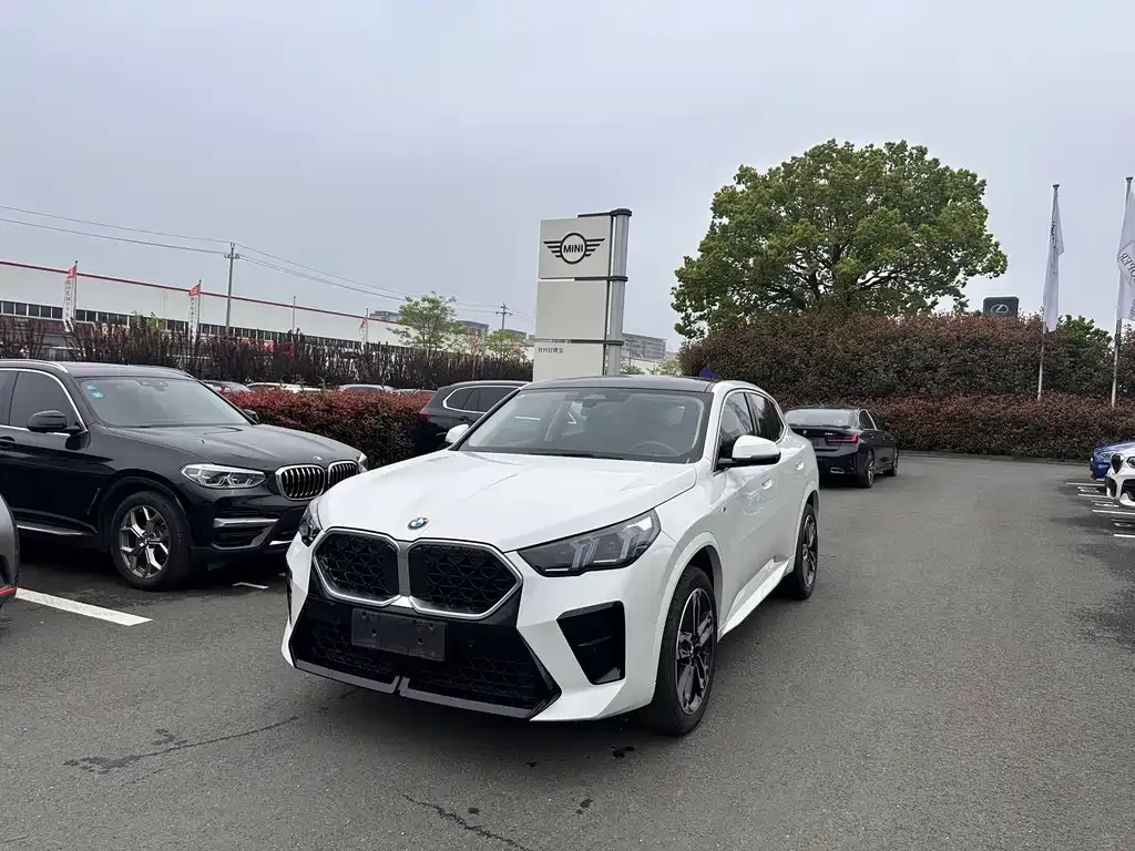 BMW X2 (Import) — фото 1