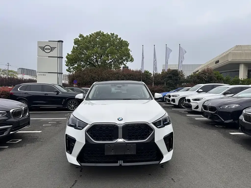 BMW X2 (Import) — фото 7
