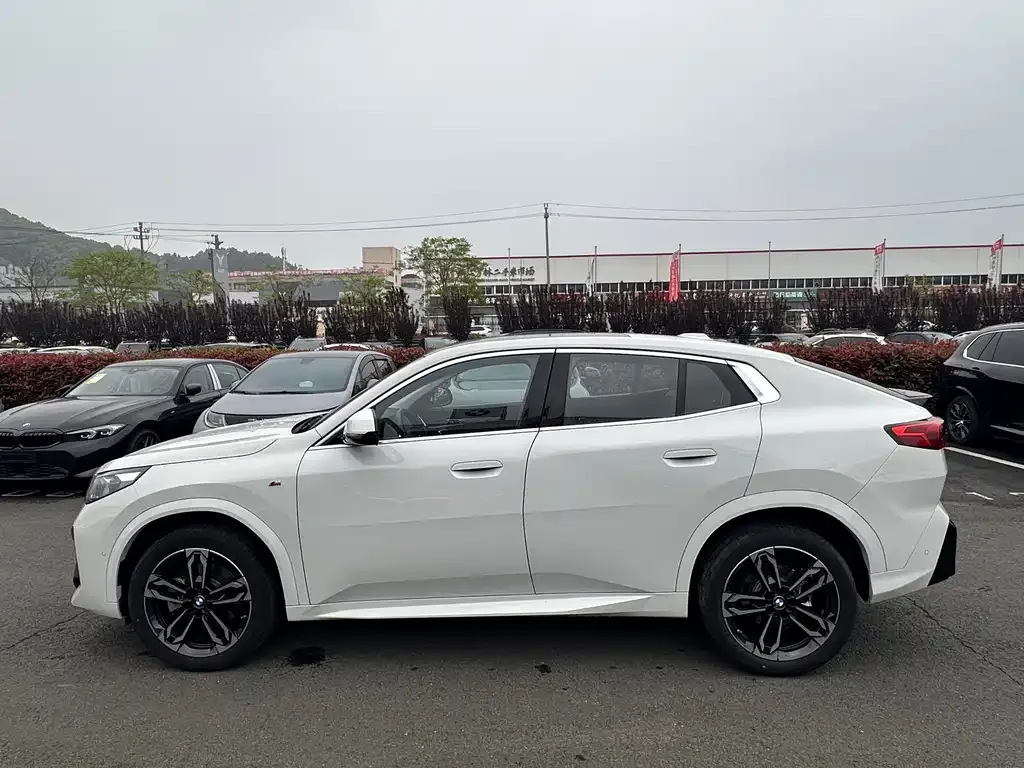 BMW X2 (Import) — фото 10