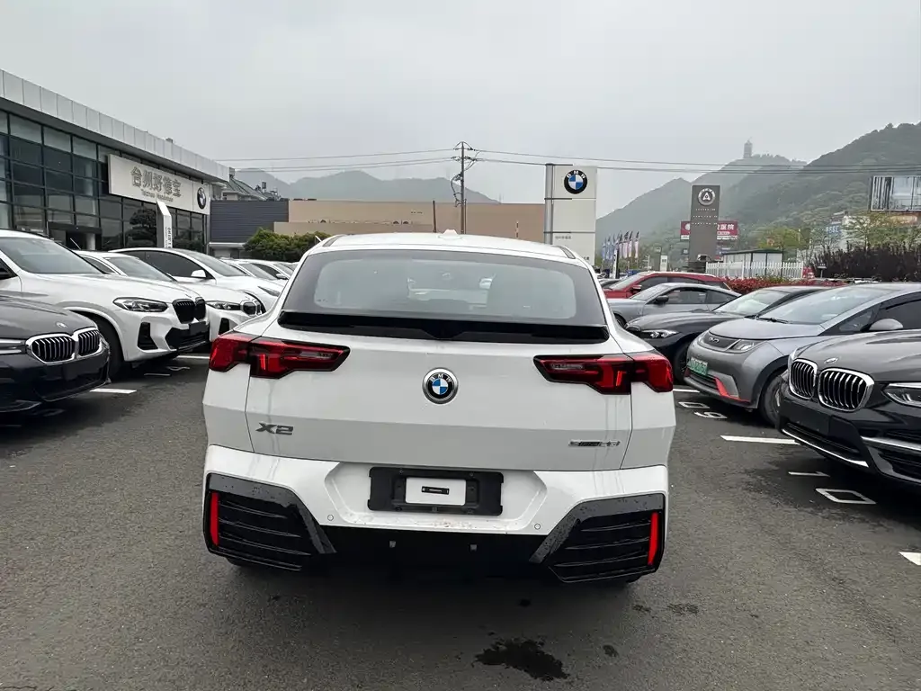 BMW X2 (Import) — фото 4