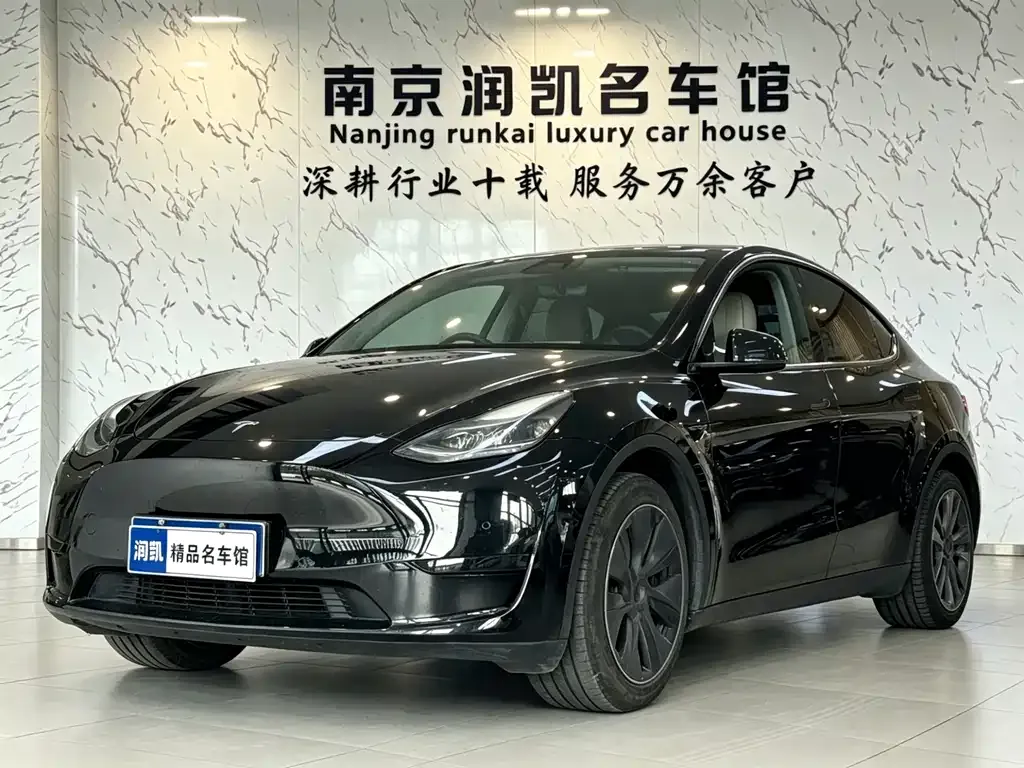 Tesla Model Y — фото 1
