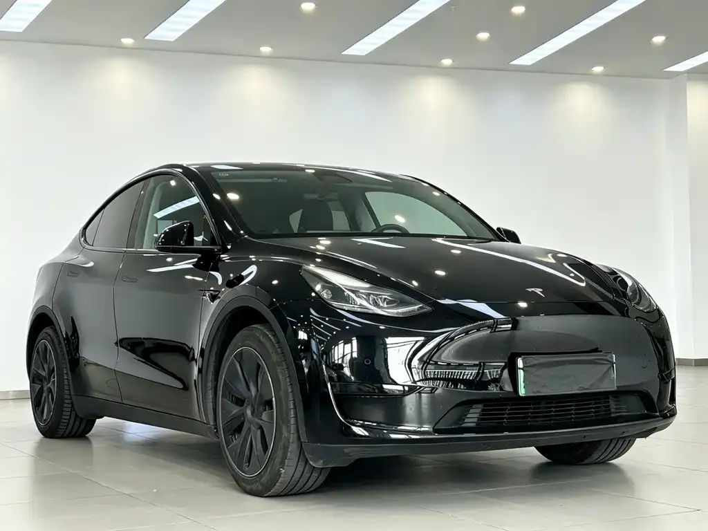 Tesla Model Y — фото 9