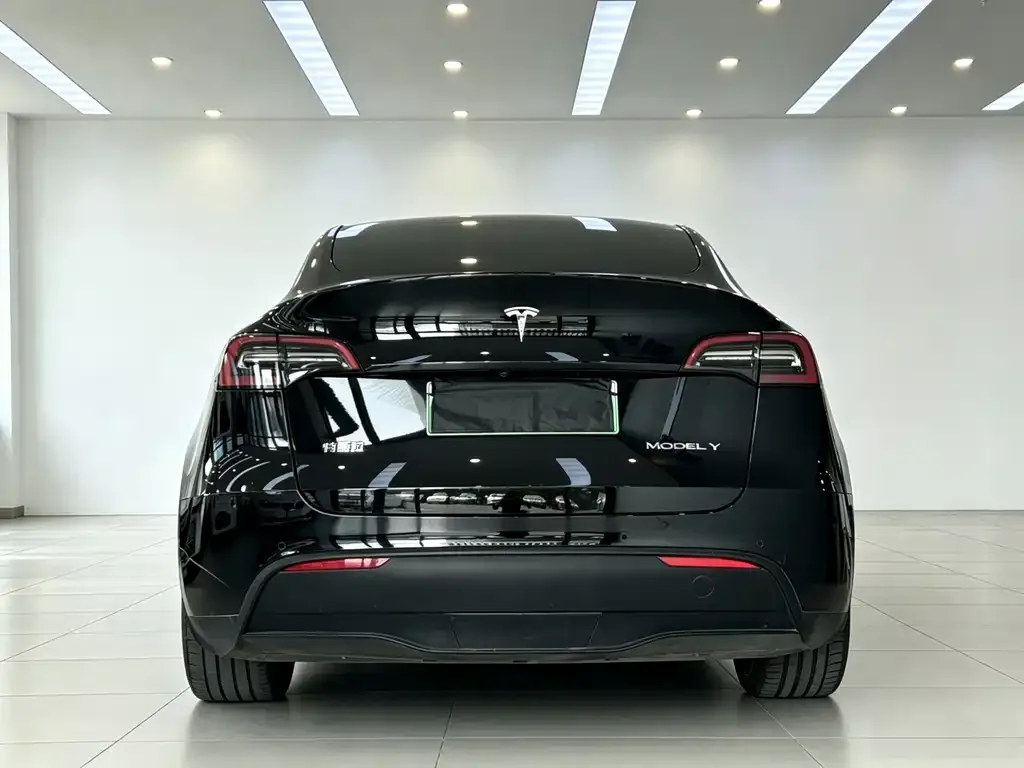 Tesla Model Y — фото 10