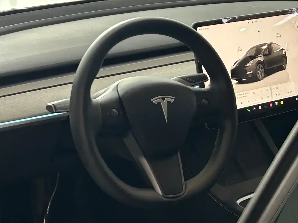 Tesla Model Y — фото 8