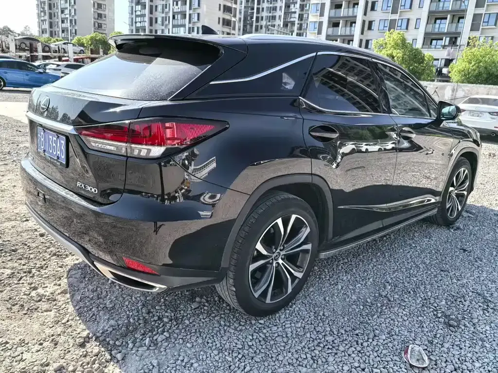 Lexus RX — фото 9
