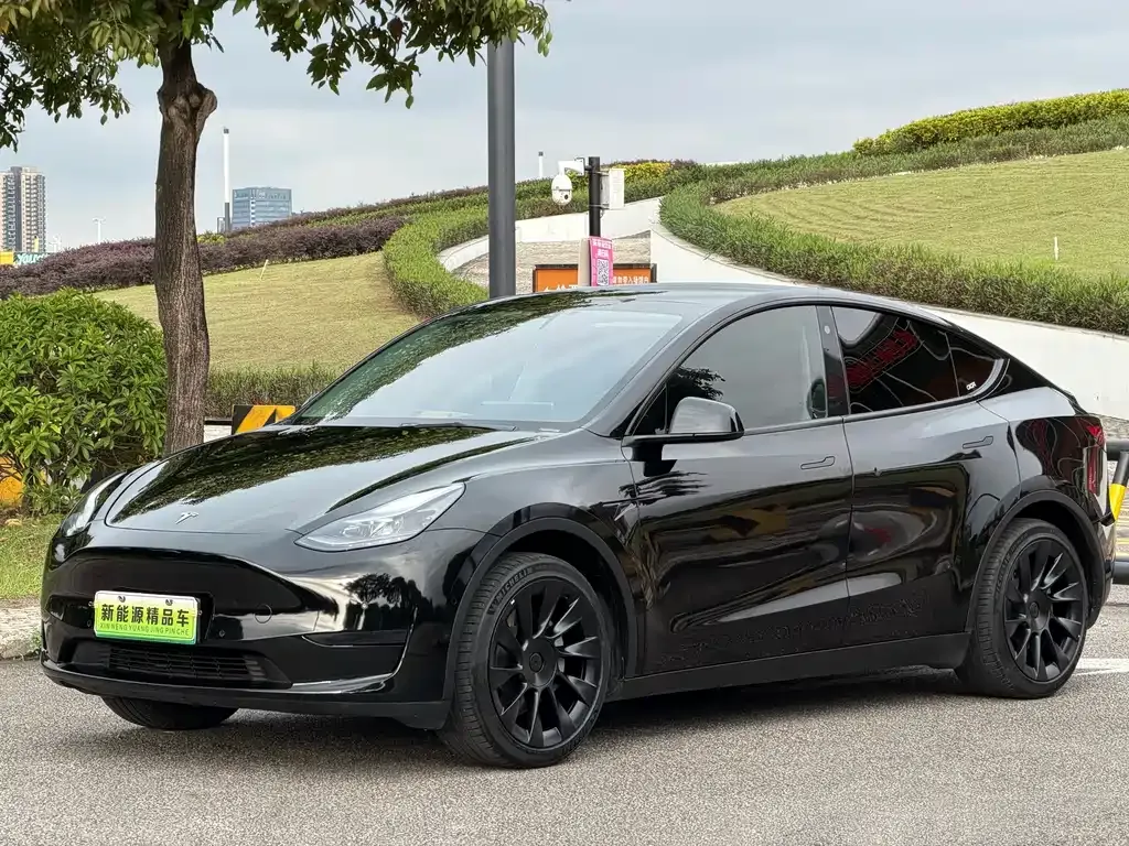 Tesla Model Y — фото 1