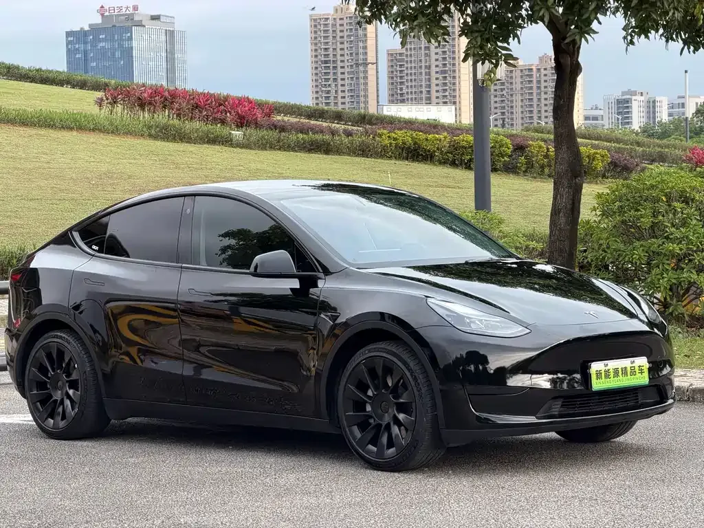Tesla Model Y — фото 8