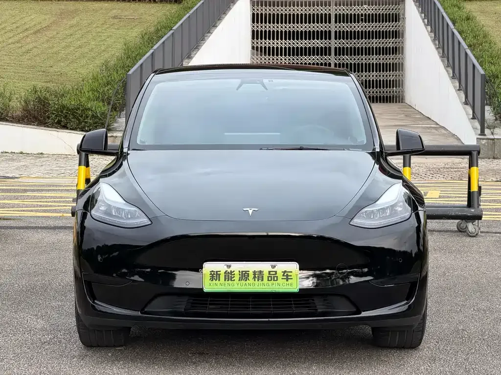 Tesla Model Y — фото 7