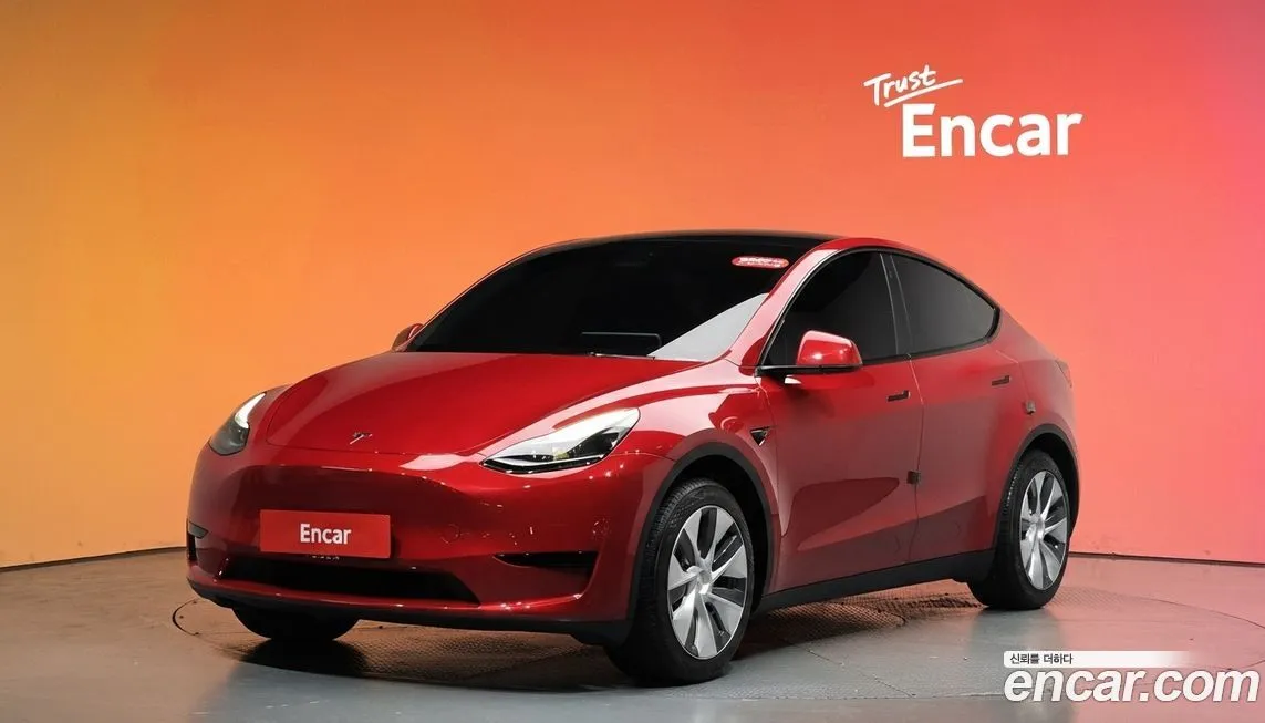 Tesla Model Y — фото 1