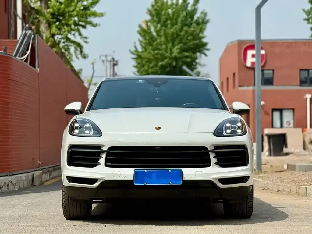 Porsche Cayenne 2021 из CN, фото 4