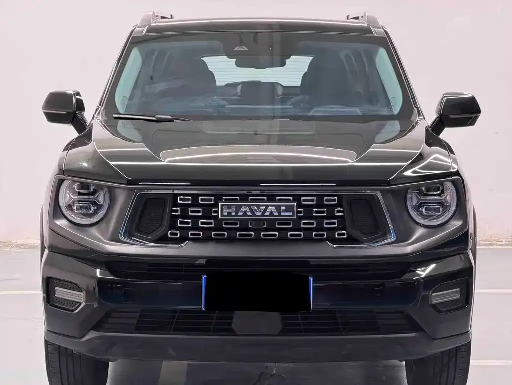 Haval H7 (Big Dog Plus) 2024 из CN, фото 8