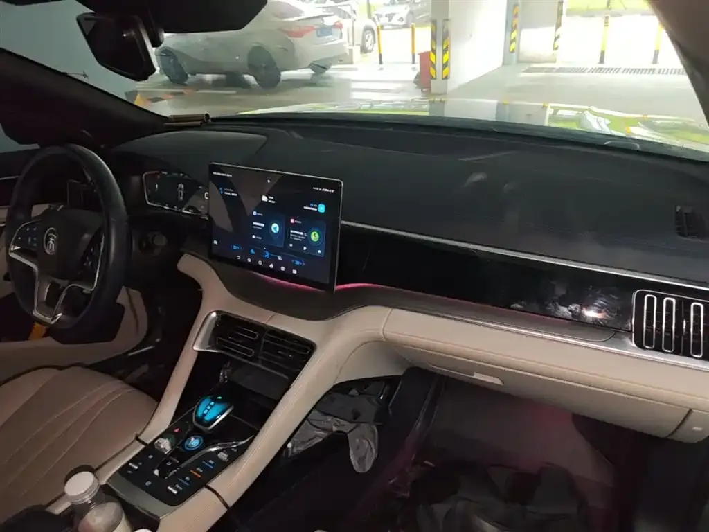 BYD PLUS New Energy 2023 из CN, фото 8