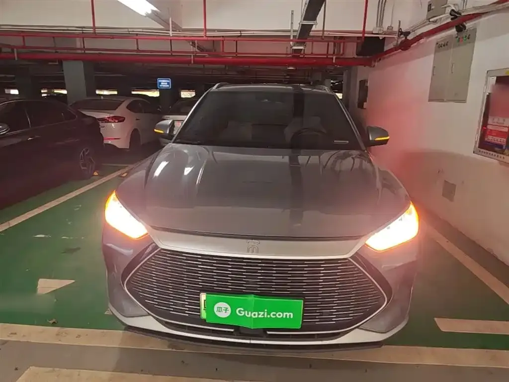 BYD PLUS New Energy 2023 из CN, фото 2