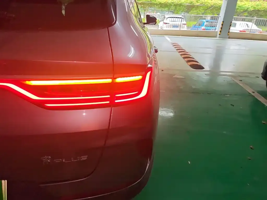 BYD PLUS New Energy 2023 из CN, фото 6