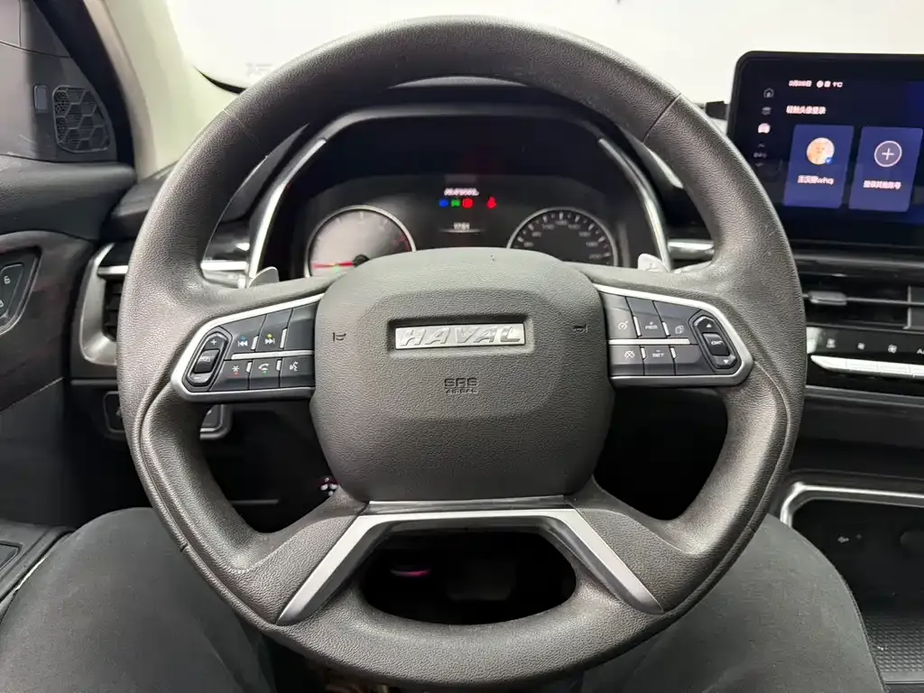 Haval H6 — фото 10