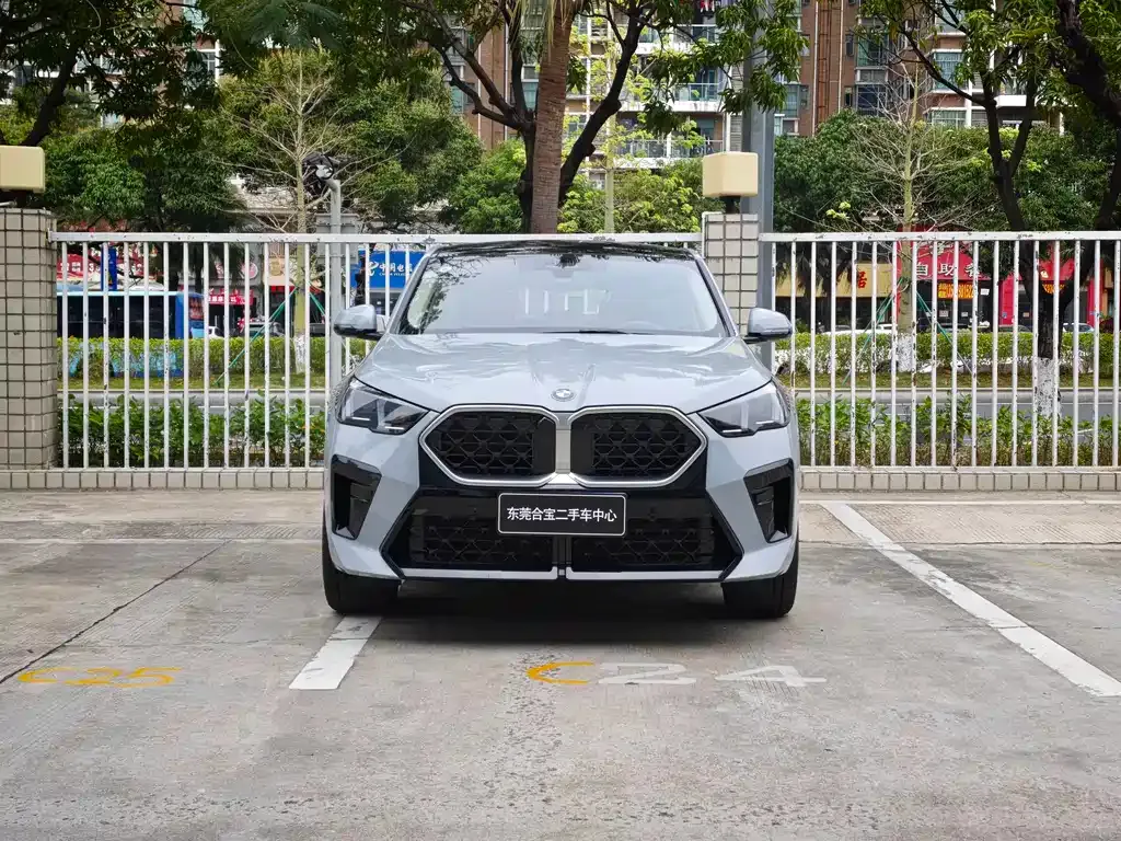 BMW X2 (Import) 2025 из CN, фото 10