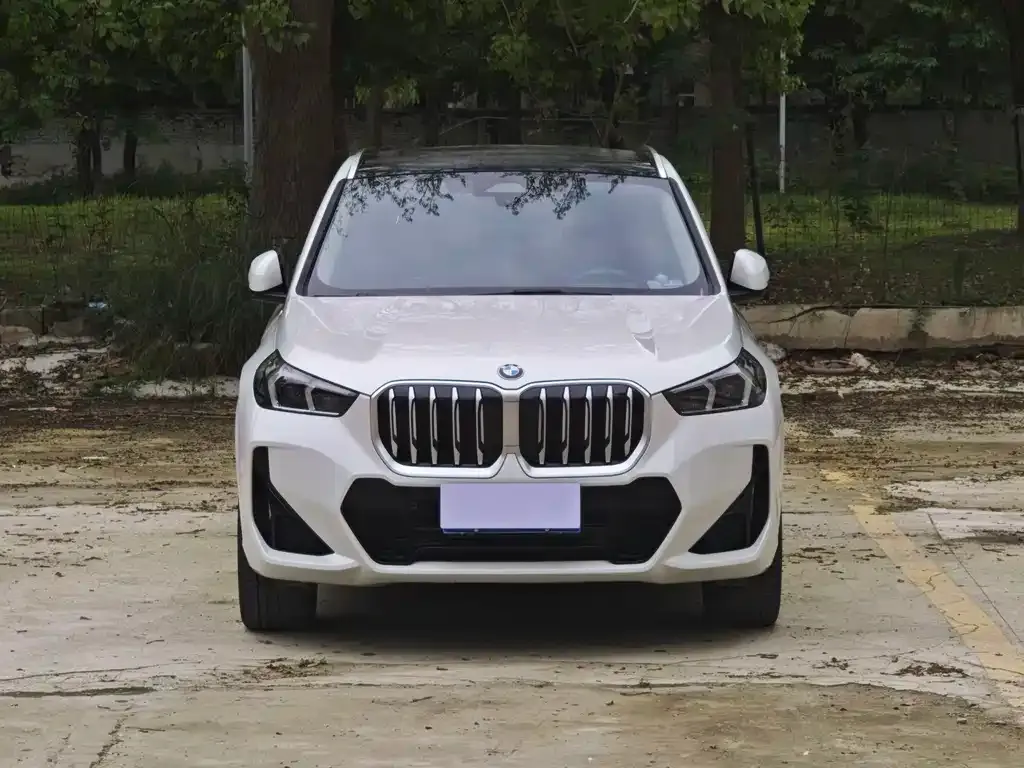 BMW X1 2024 из CN, фото 5