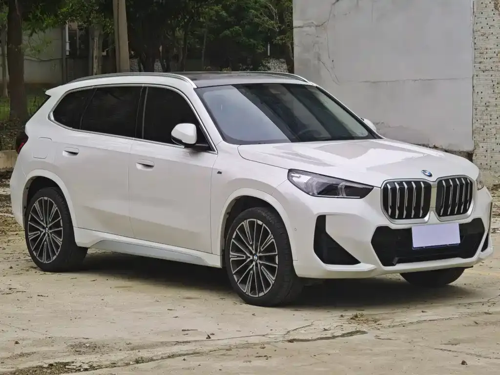 BMW X1 2024 из CN, фото 7