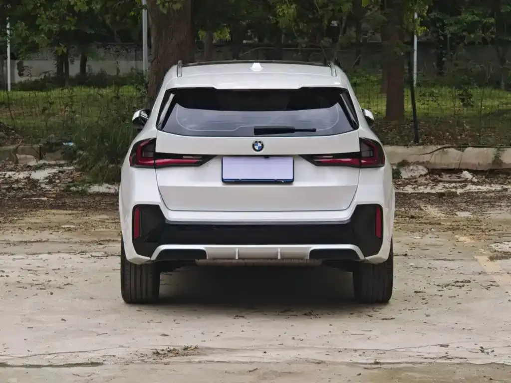 BMW X1 2024 из CN, фото 9